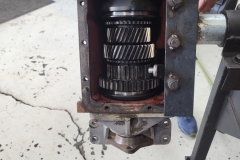20250326_115046