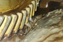 image0000021-1