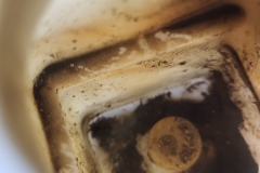 20260522_151149