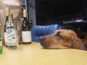 Hank and Hard Choices Hank and Hard Choices