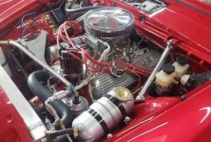 Tiger Engine Bay Tiger Engine Bay